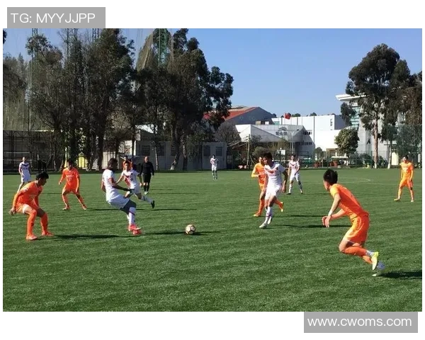 北京网球队在阵地战中的表现分析与战术调整探讨