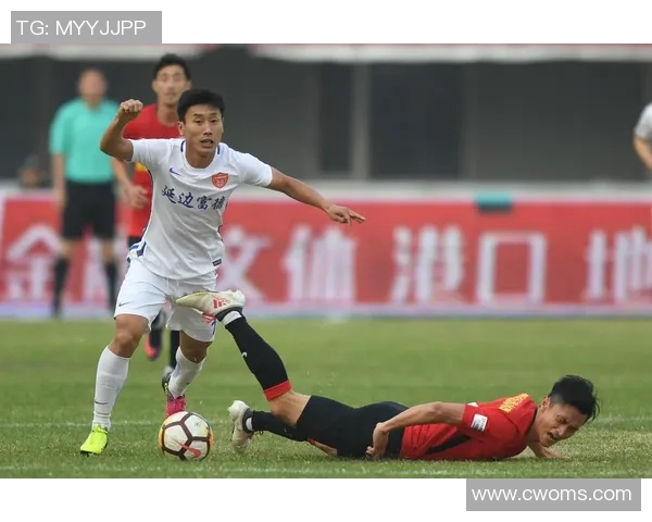 北京延边对阵延边富德的精彩较量揭示中甲联赛的激烈竞争与球队发展潜力