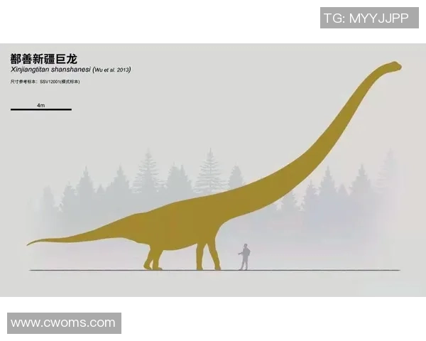 探索奥蓬达的魅力与历史深度，揭示其在当代文化中的独特地位与影响力