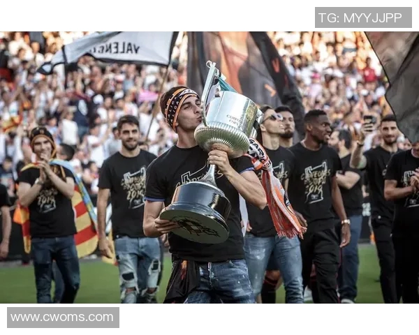 费兰托雷斯：从新星崛起到世界足球舞台的璀璨之星