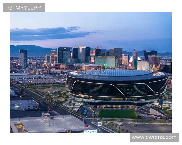 阿体育迎战帕梅拉斯争夺胜利之战精彩回顾与分析