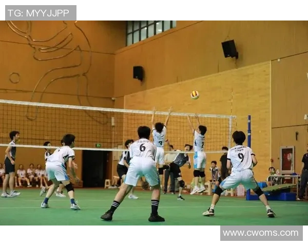 杭州排球队团队协作能力创新高引领全国排球新风潮